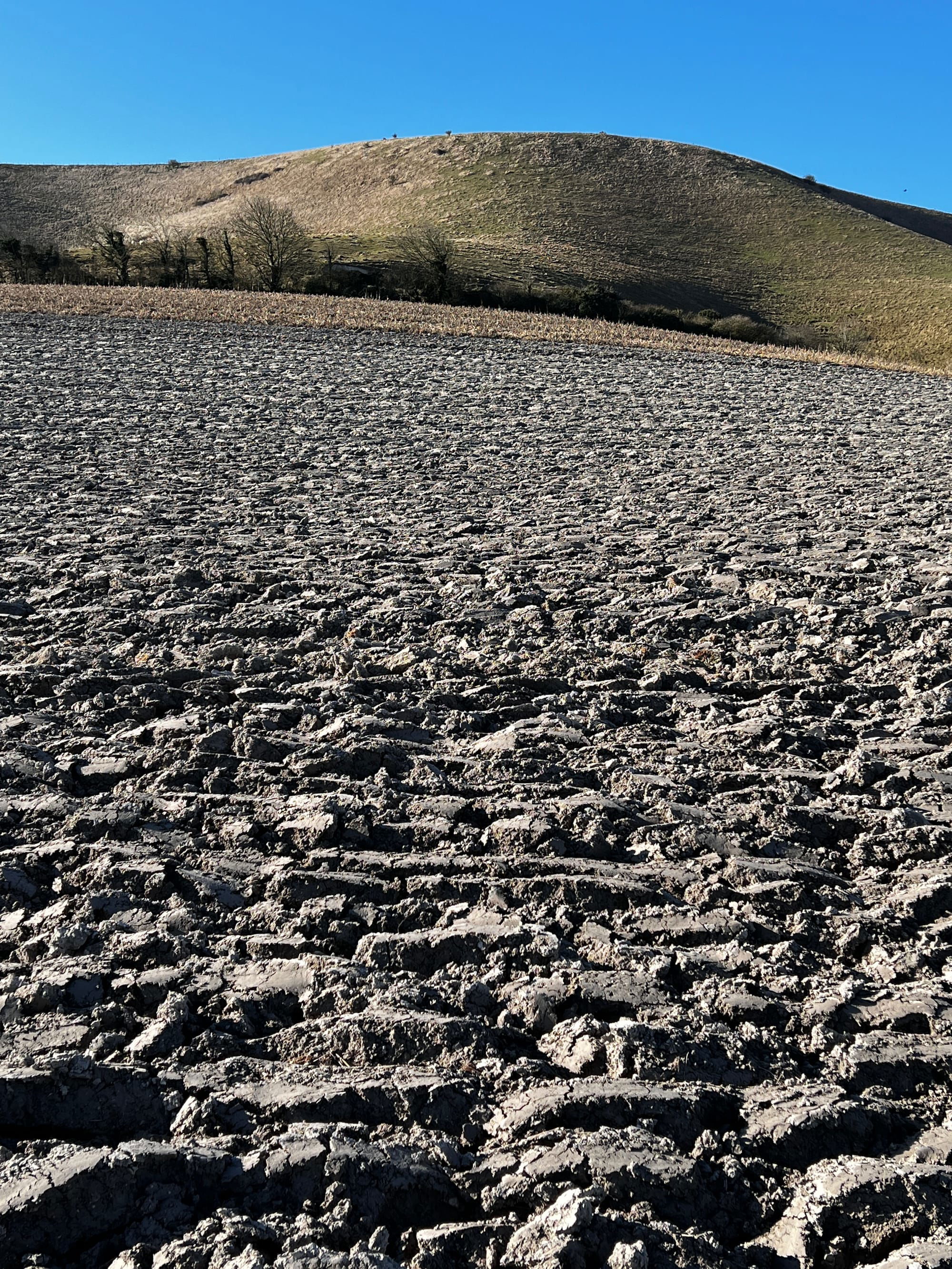 Spring Ploughing. Above Charleston, East Sussex