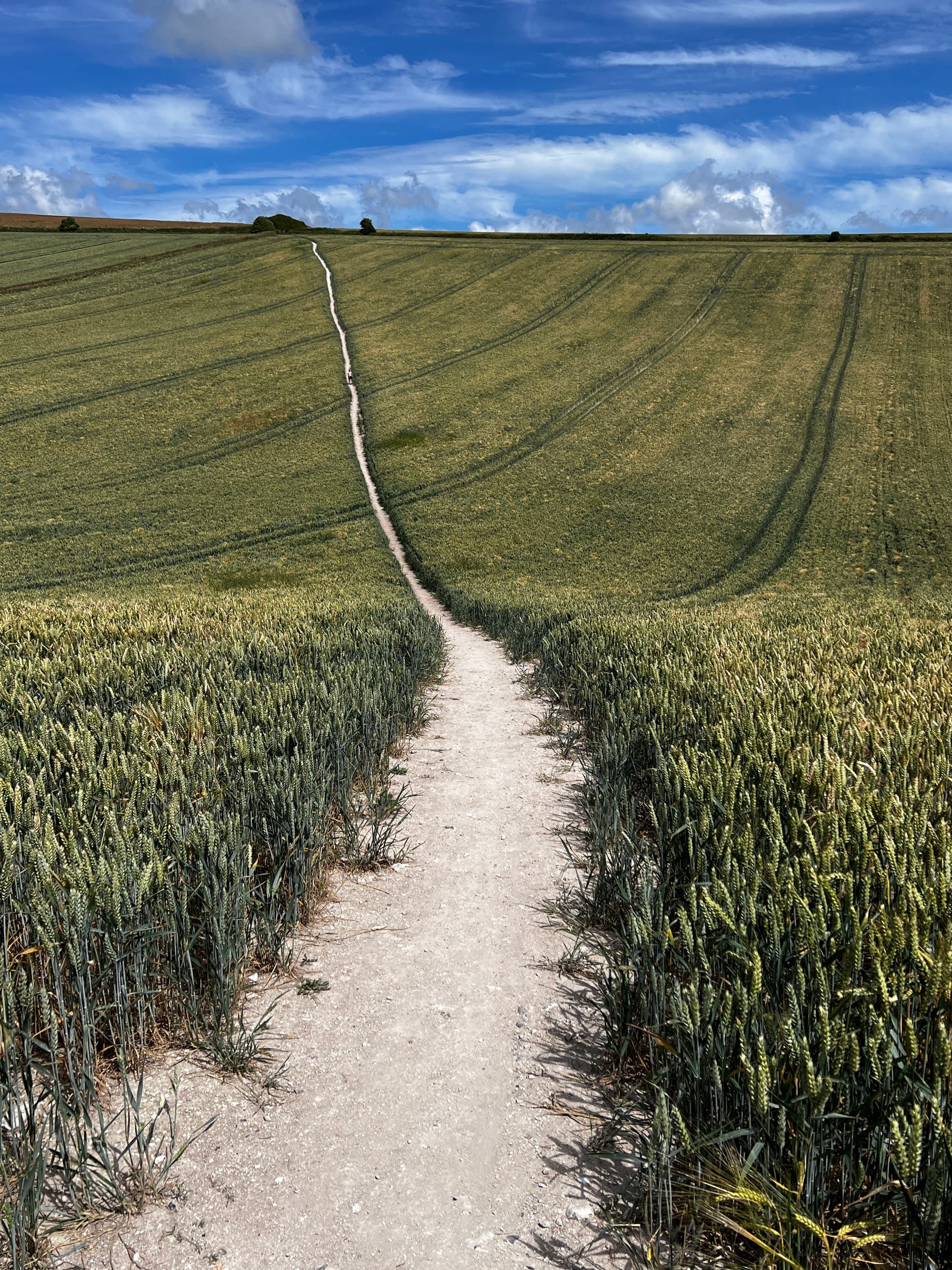 A Lone Walker. Balsdean, East Sussex