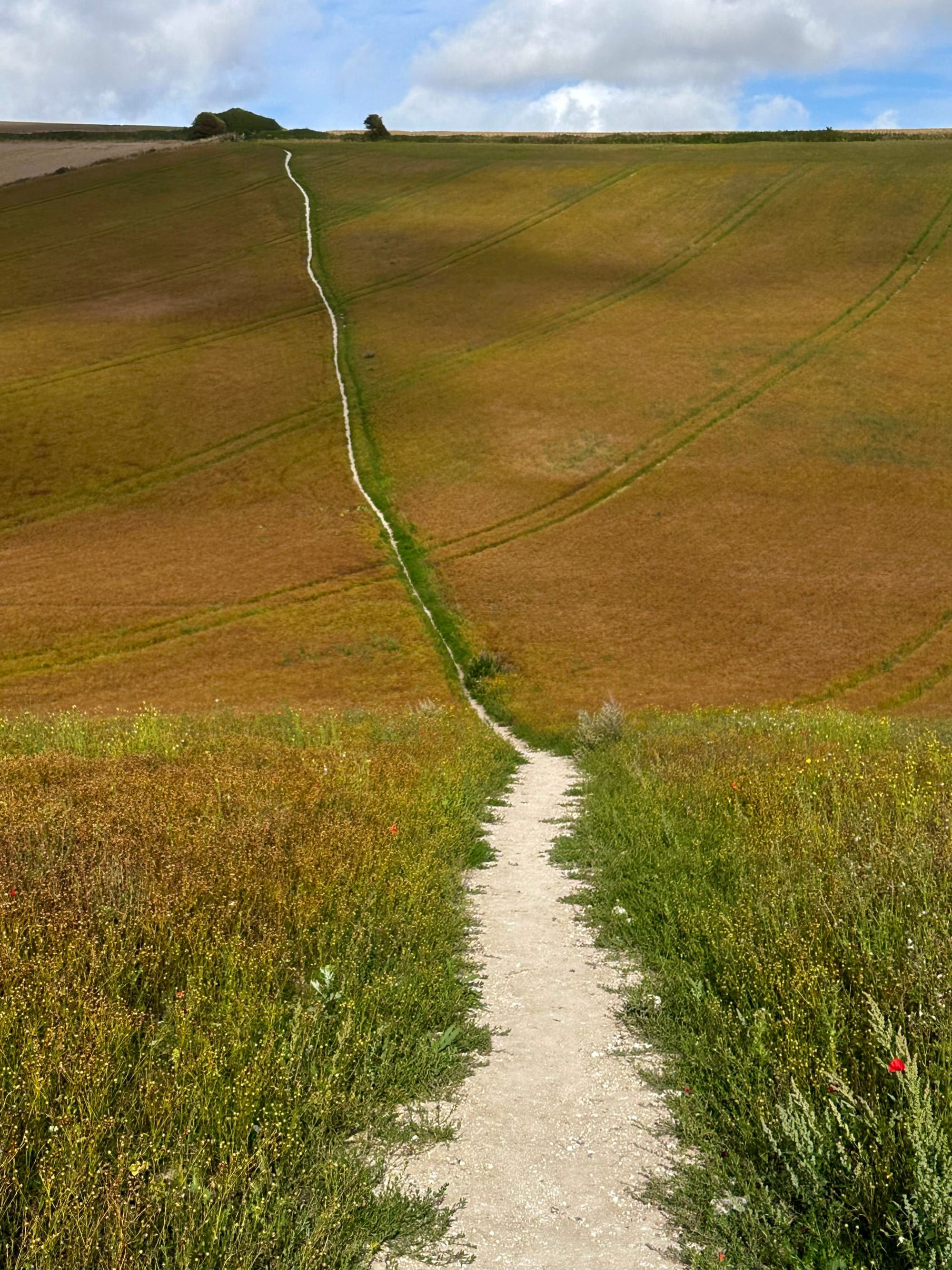 The path from Balsdean