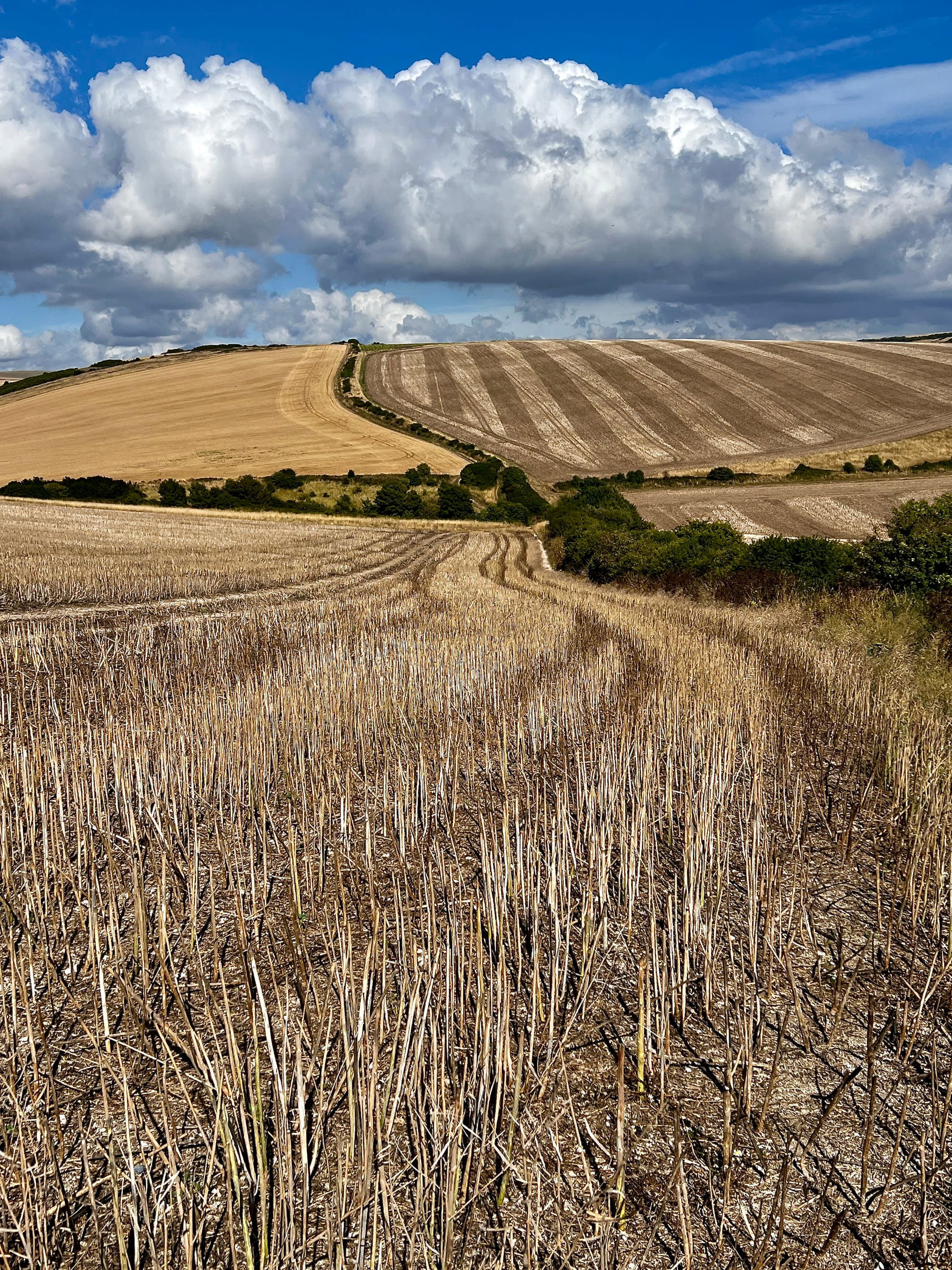 Heighton Hill