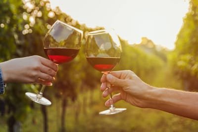 Features to Observe while Choosing a  Wine Tours company image