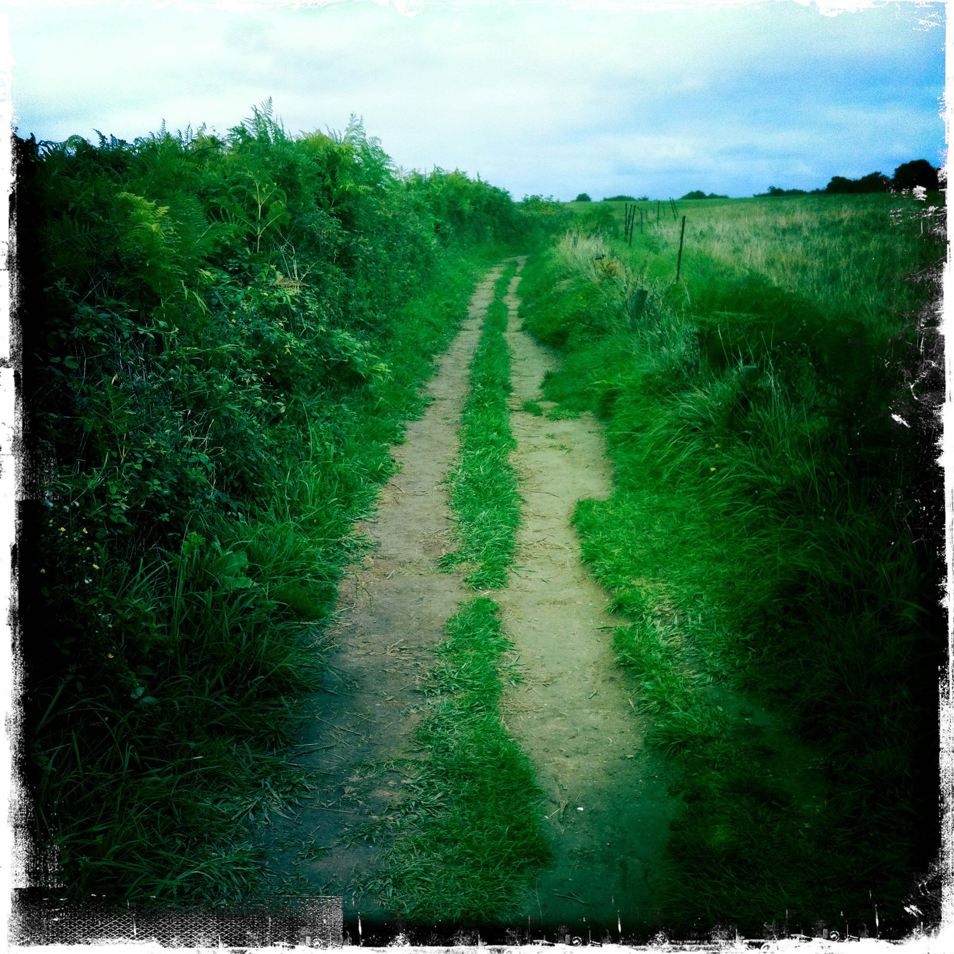 Chemin faisant