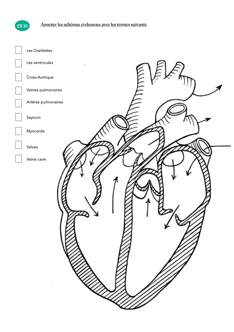 Exercice Calcul De Dose Infirmier 1ere Année Pdf