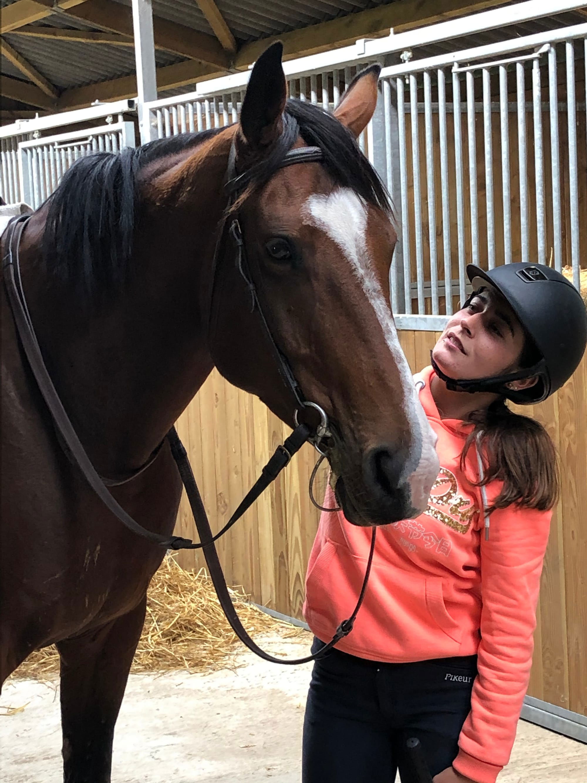 l'amour du cheval au domaine de l'atlas