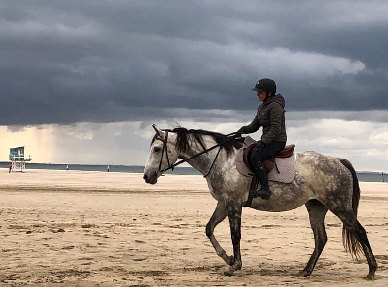 balade campagne normande, balade au bord de mer Deauville