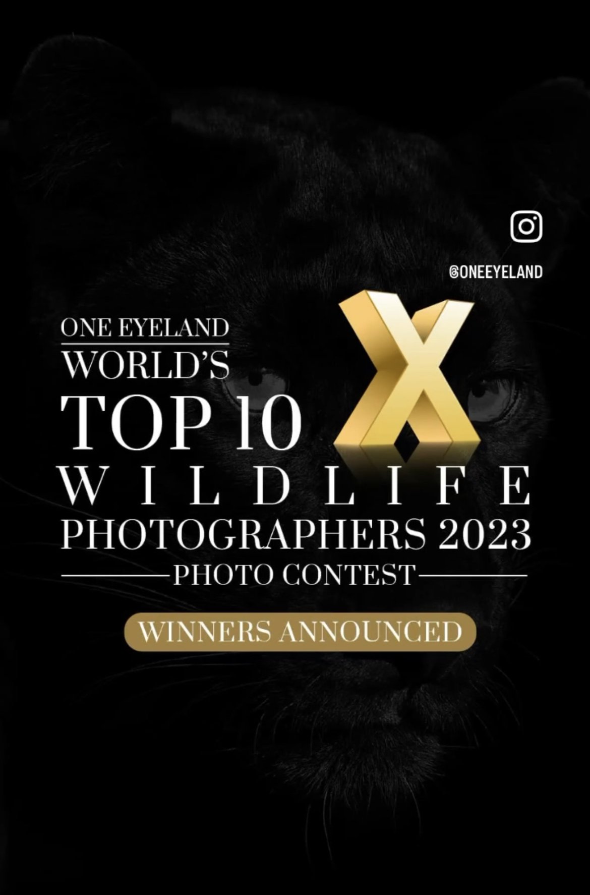 ONE EYELAND World Wildlife photography Contest 2023