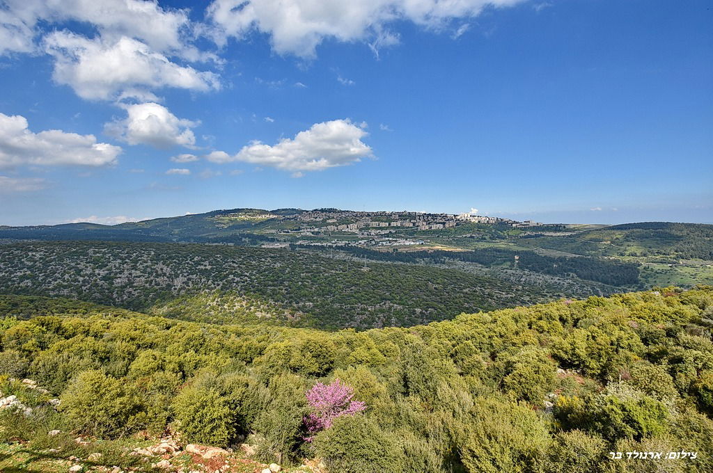 ירוק בעיניים וחם בלב - כל הסיבות לבקר במרום הגליל