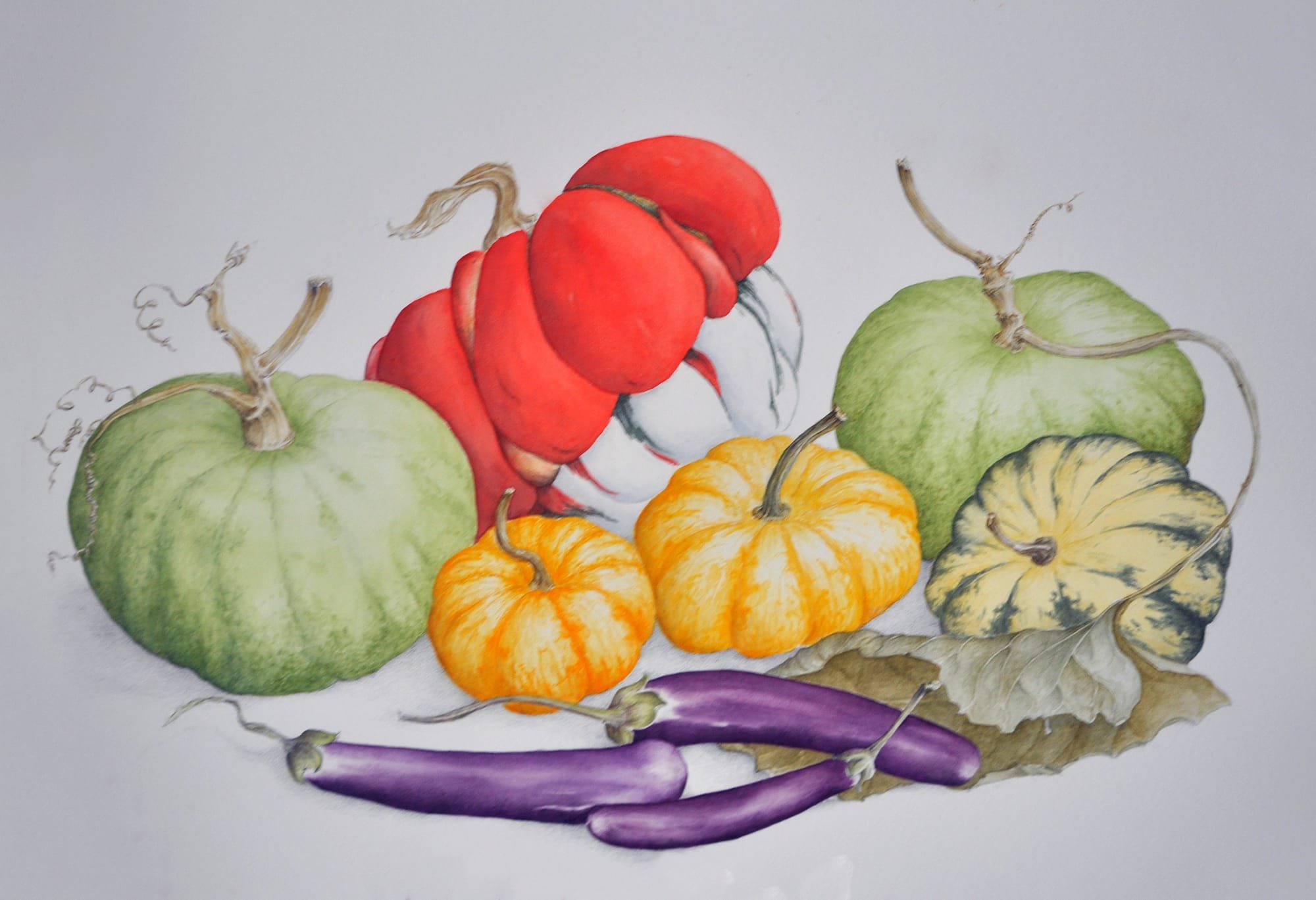 Squashes and gourds