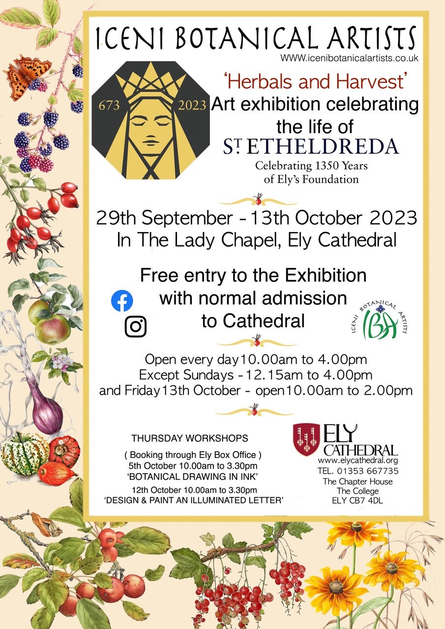 Harvest and Herbals at Ely Cathedral Oct 2023