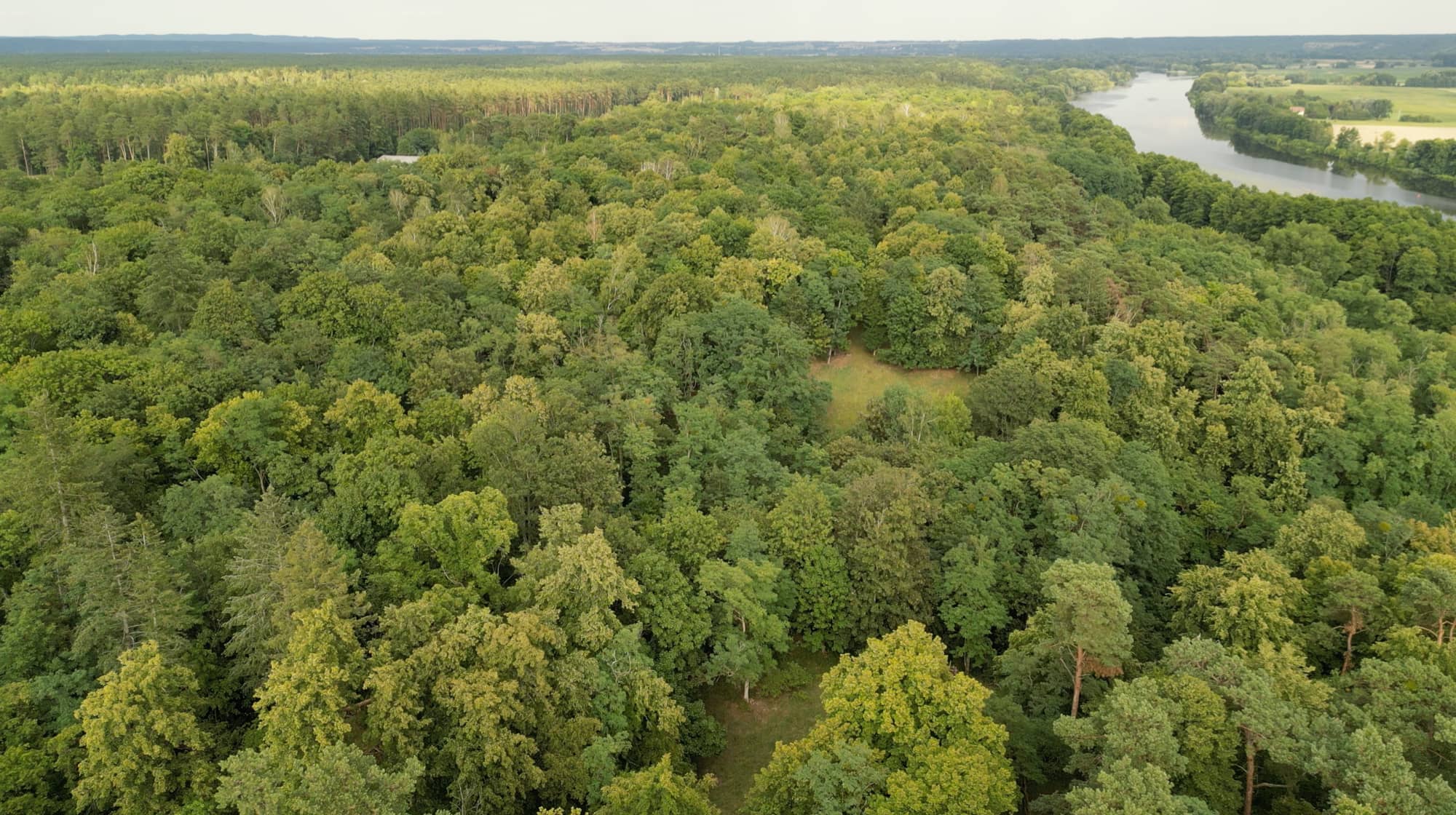Unterstützt Pro-Wald-Hohensaaten