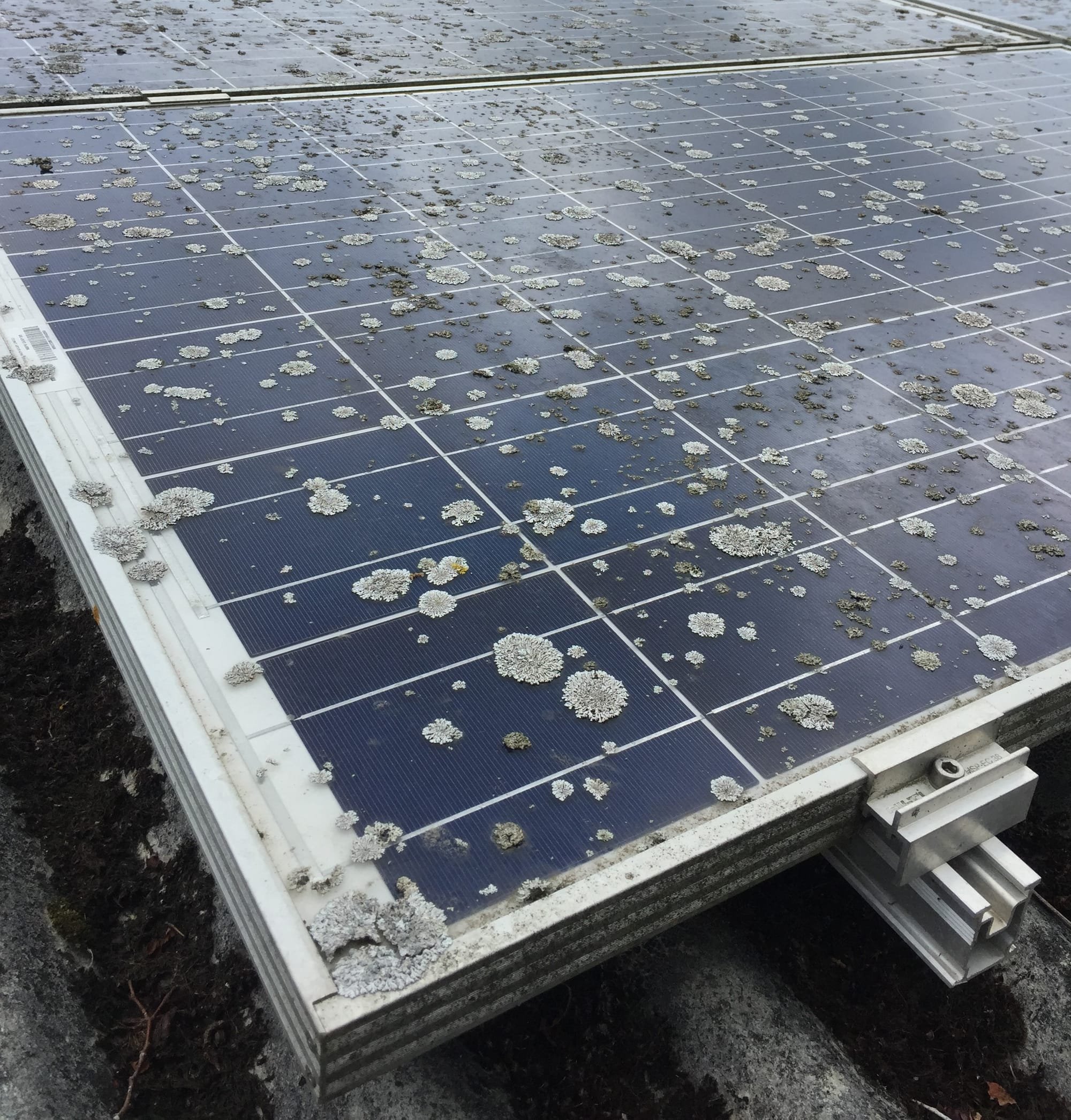 Solar Partner appointed to clean 90 PV panels