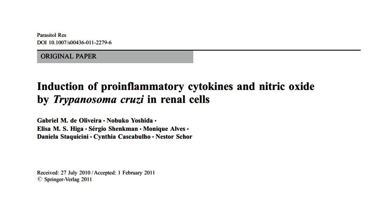 Induction of proinflammatory cytokines and nitric oxide by Trypanosoma cruzi in renal cells