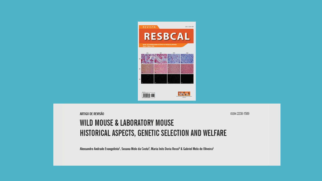 WILD MOUSE & LABORATORY MOUSE HISTORICAL ASPECTS, GENETIC SELECTION AND WELFARE