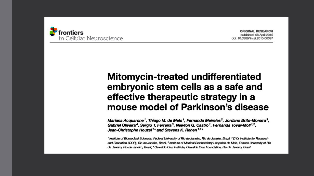 Mitomycin-treated undifferentiated embryonic stem cells as a safe and effective therapeutic strategy in a mouse model of Parkinson’s disease