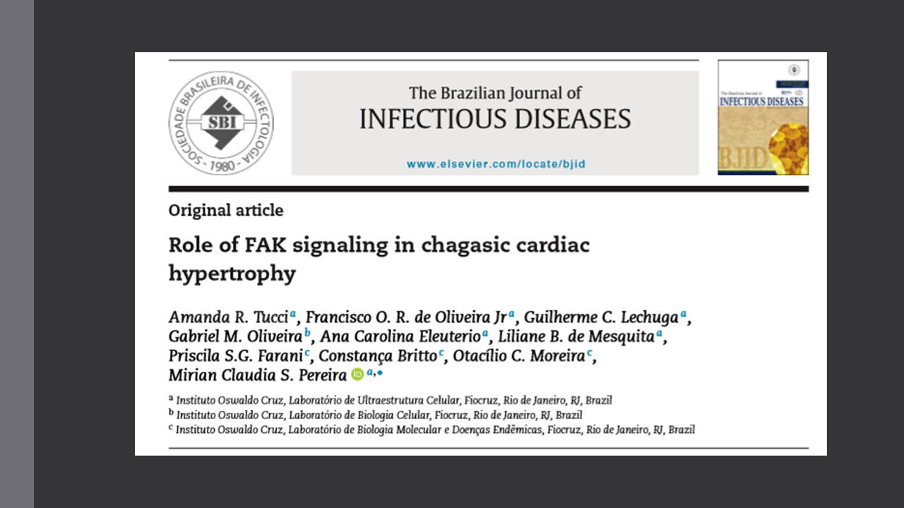 Role of FAK signaling in chagasic cardiac hypertrophy