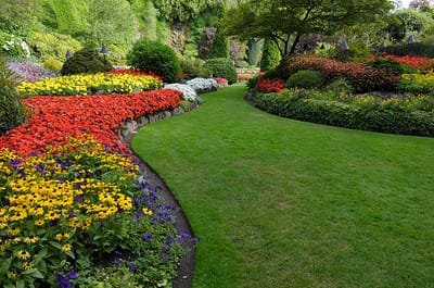 Why We Need the Top Rated Landscaping Services image