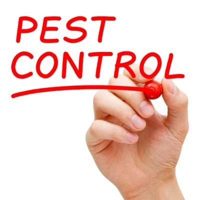 Tips on How to Choose the Right Residential Pest Control Firm image