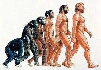 Herencia y Evolución