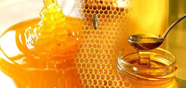 أجود أنواع العسل وشمع العسل من متجر شهد النحل الالكتروني