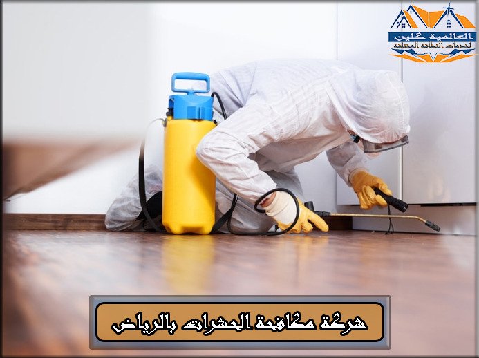 افضل 5 خطوات لتنظيف المنزل بسهولة والتخلص من الحشرات