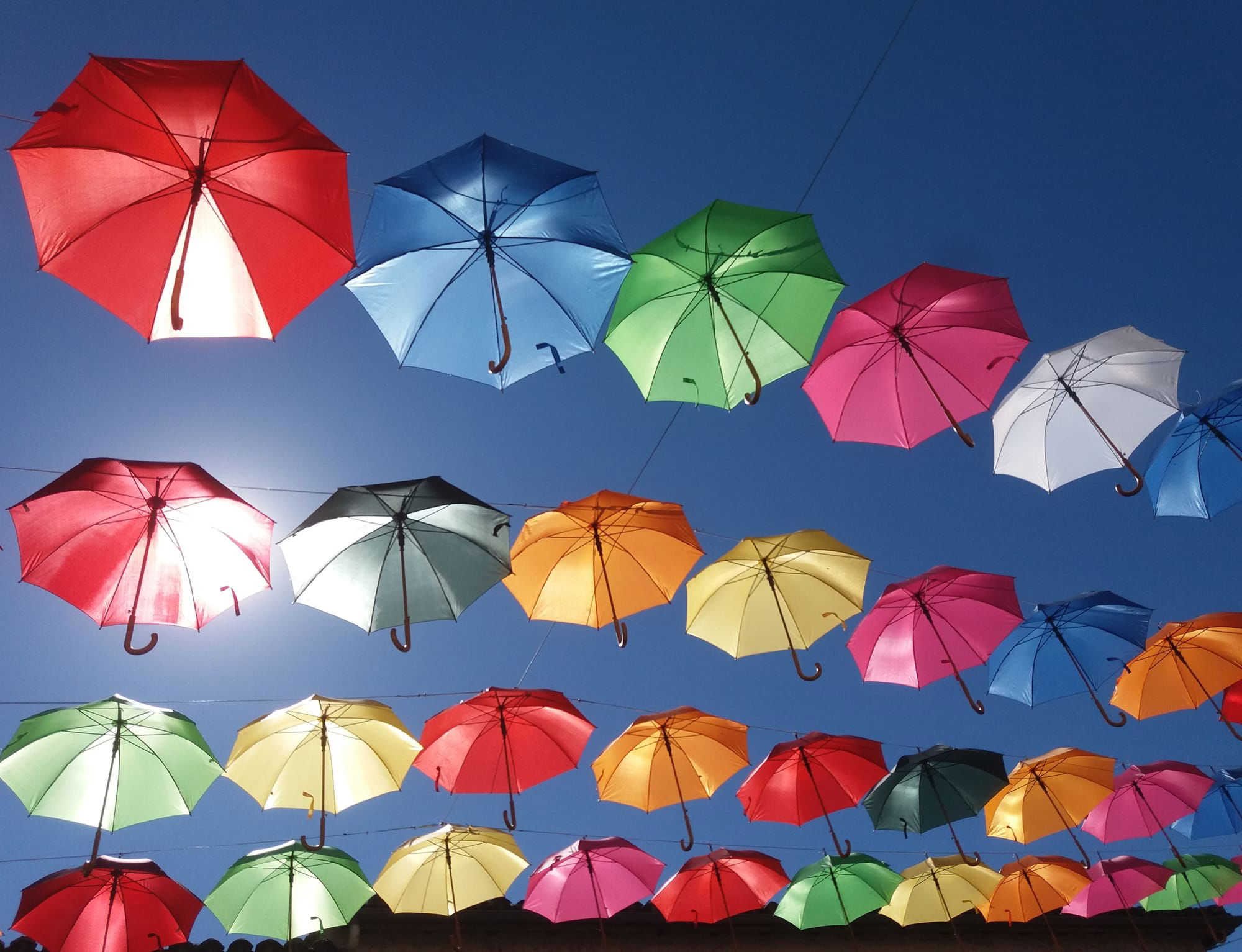 Umbrellas, Ste Foy le Grande