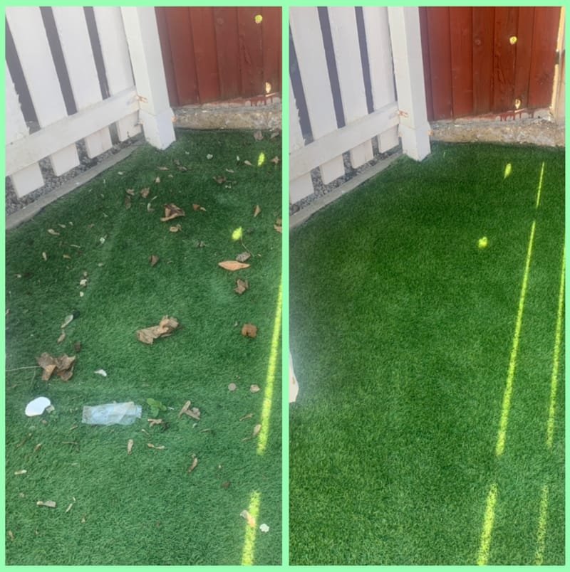 Artificial grass cleaning
