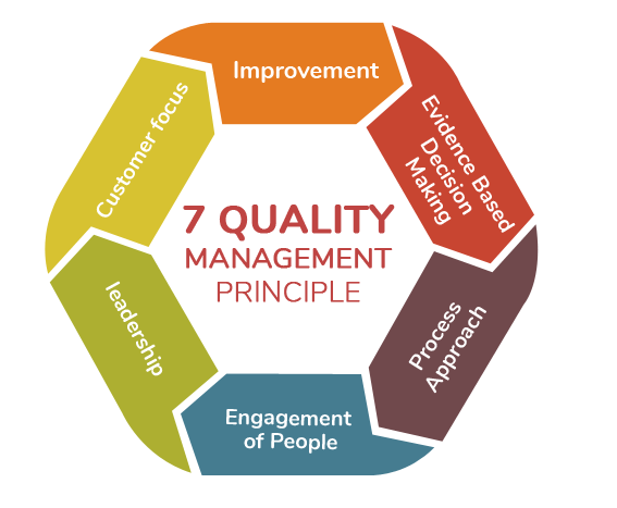 how-to-implement-the-7-principles-of-quality-management-systems-qms