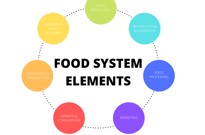 Food System: The system that concerns us all