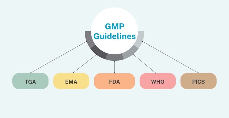 Gmp Requirements For Food Processing Facilities