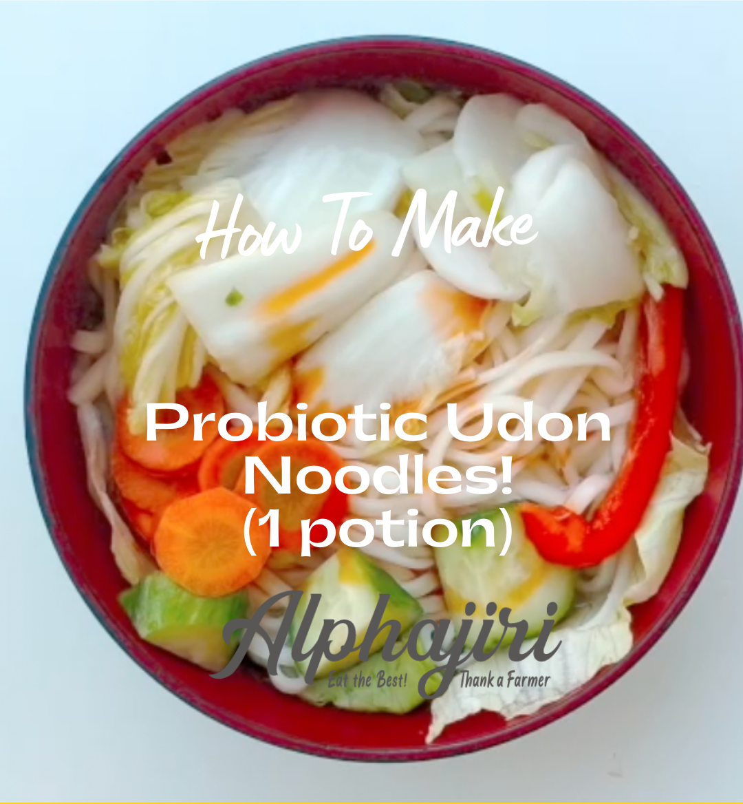 Probiotic Udon Noodles