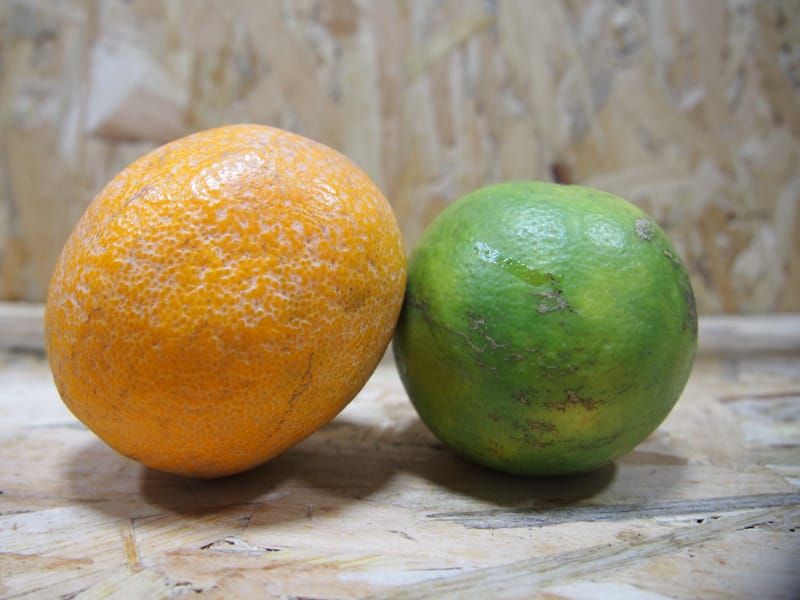 Orange Local Seedless (500g) Alphajiri Greengrocer