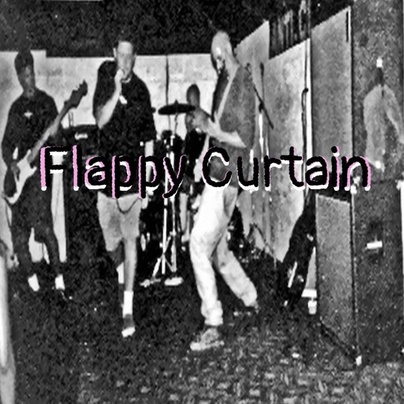 Flappy Curtain