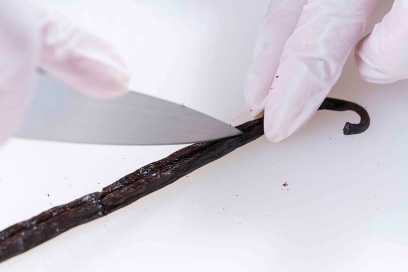 Vanilla Seeds In Our Beans Vanilla Yard