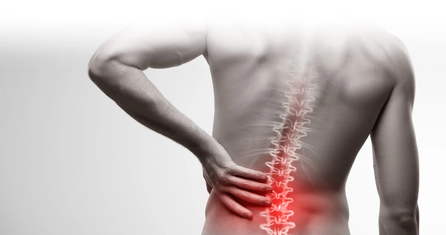 Low Back Pain: A Comprehensive Guide by Elite Physio and Therapy Clinic