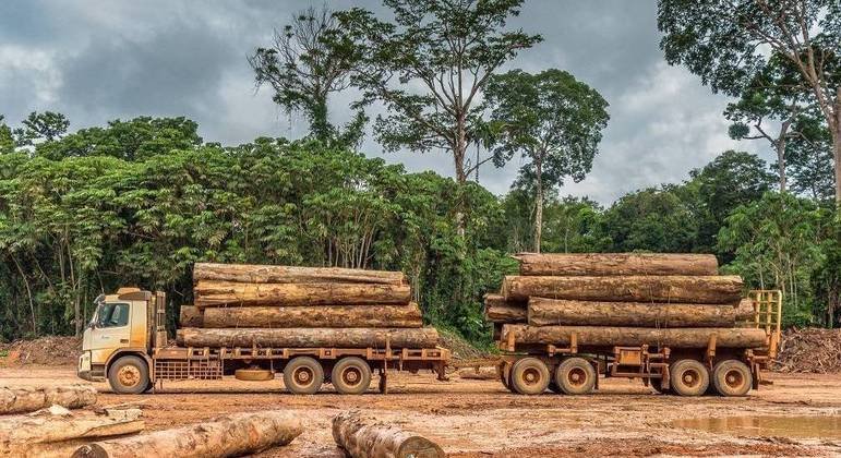 AMAZONIA PERDE EQUIVALENTE A 2000 CAMPOS DE FUTEBOL POR DIA E NADA SE FAZ ...