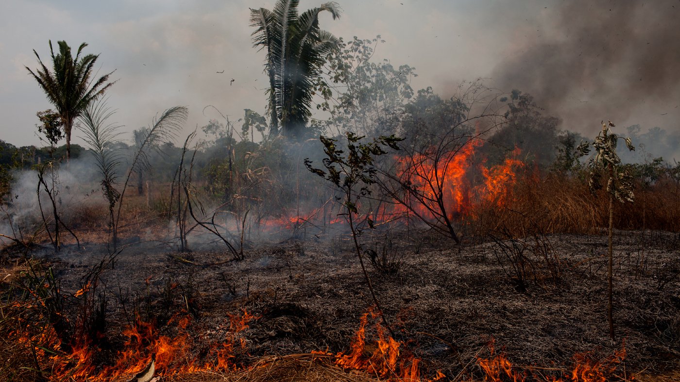 Agro é fogo”: dossiê aponta que incêndios florestais são um projeto político no Brasil
