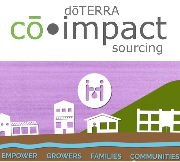 Co-impact Sourcing