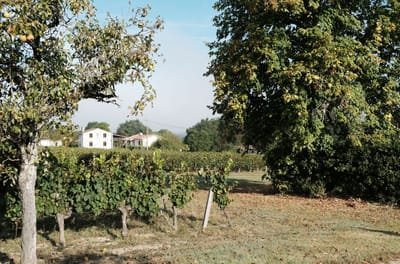 Château Tenein image