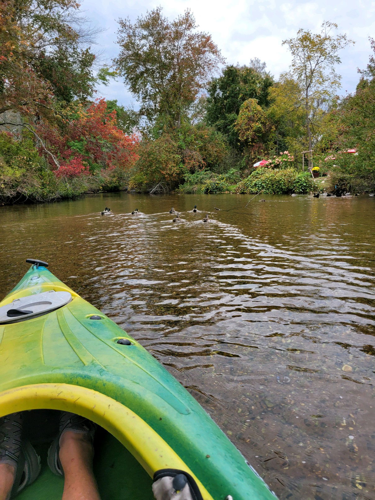 Peconic Paddler - Riverhead, NY