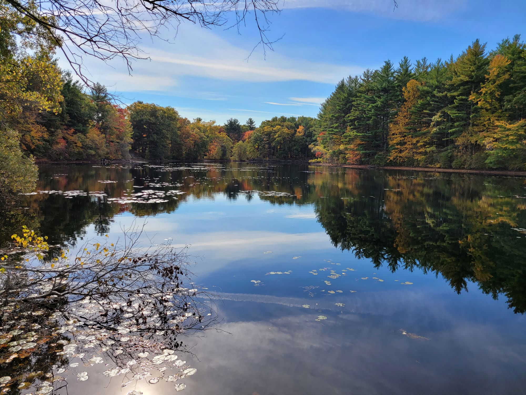 Rocky Woods Reservation Hiking Trails (Medfield, MA) - 11/1/20