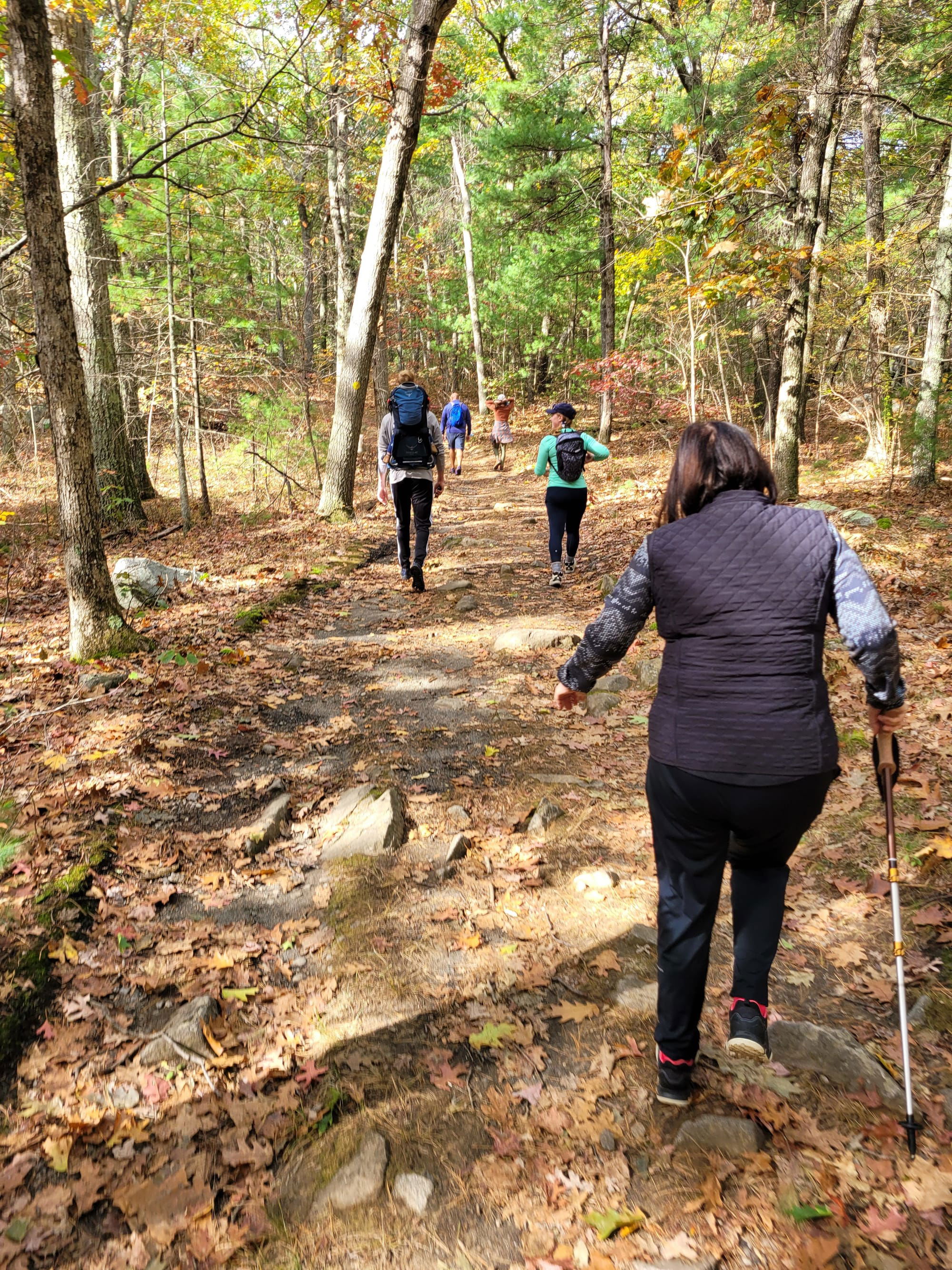 Rocky Woods Reservation Hiking Trails (Medfield, MA)