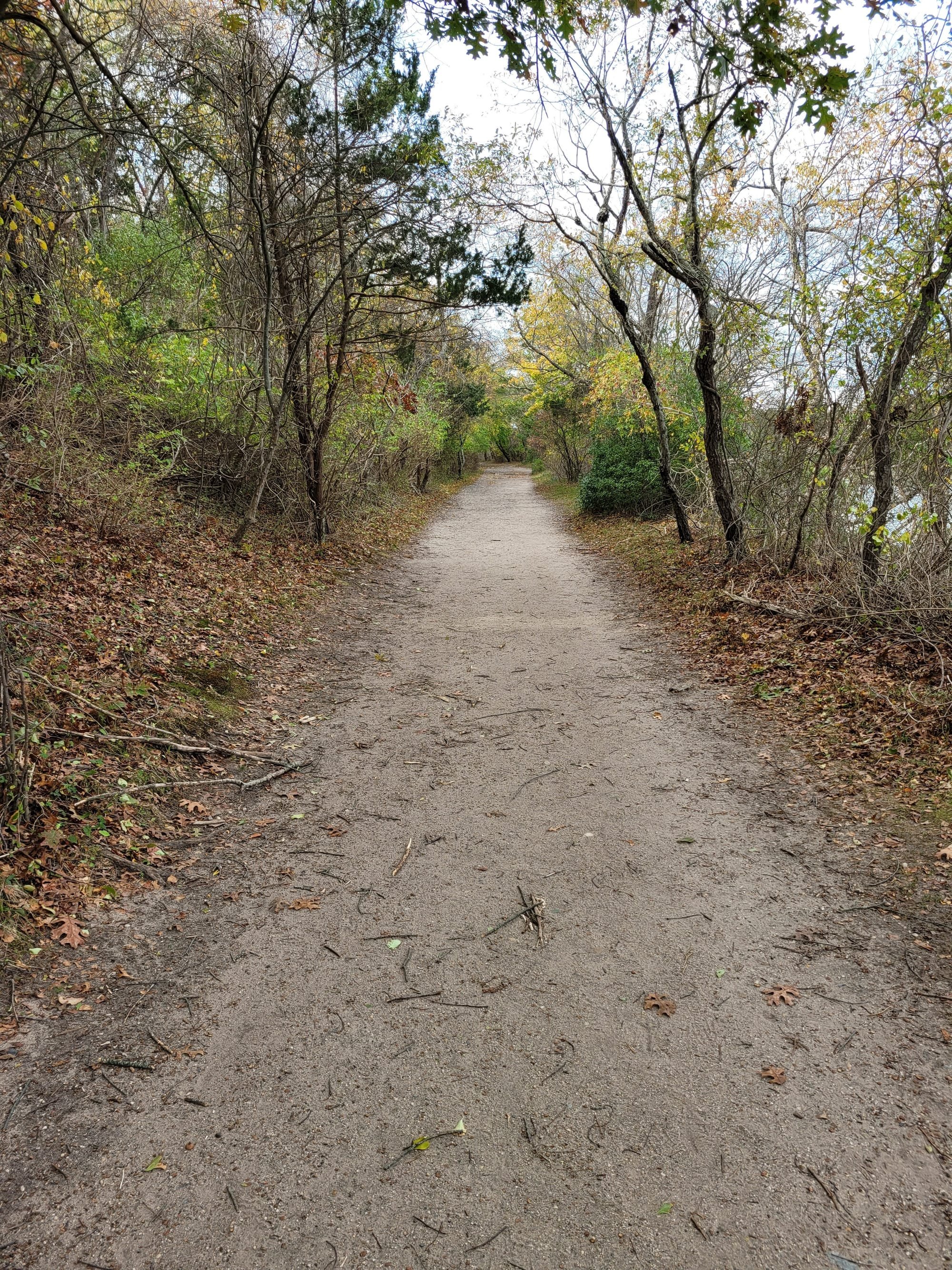 Sunken Meadow State Park Trail (Kings Park, NY)