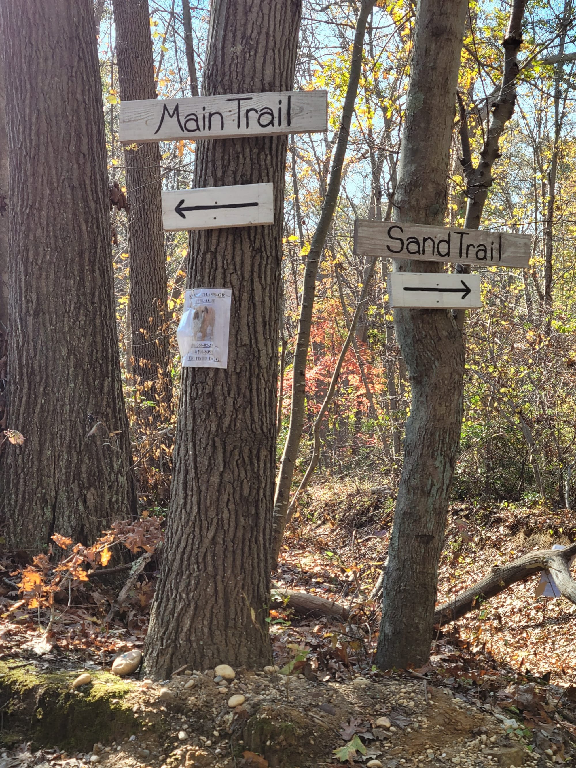 West Hills County Park (Melville, NY)