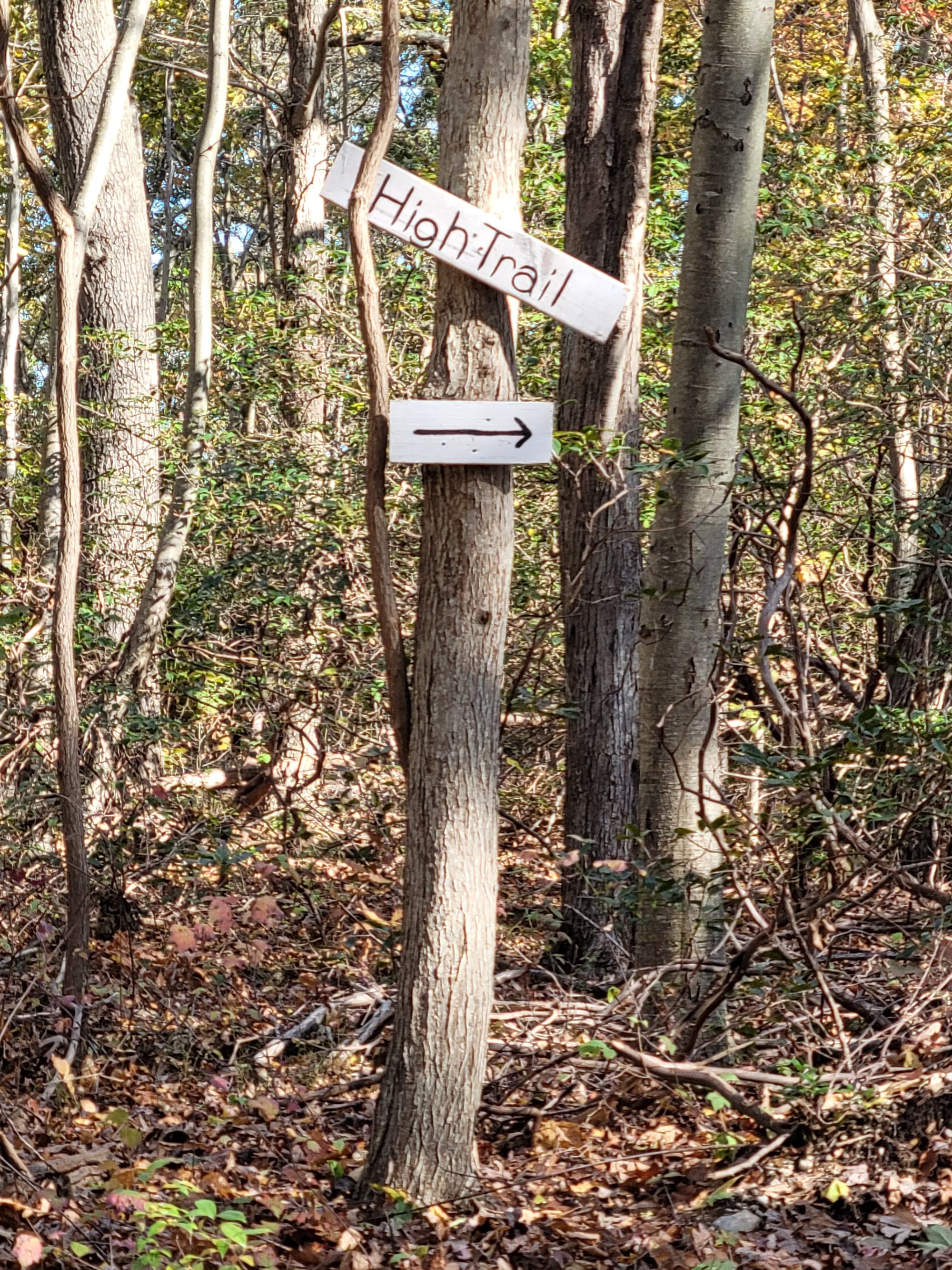 West Hills County Park (Melville, NY)