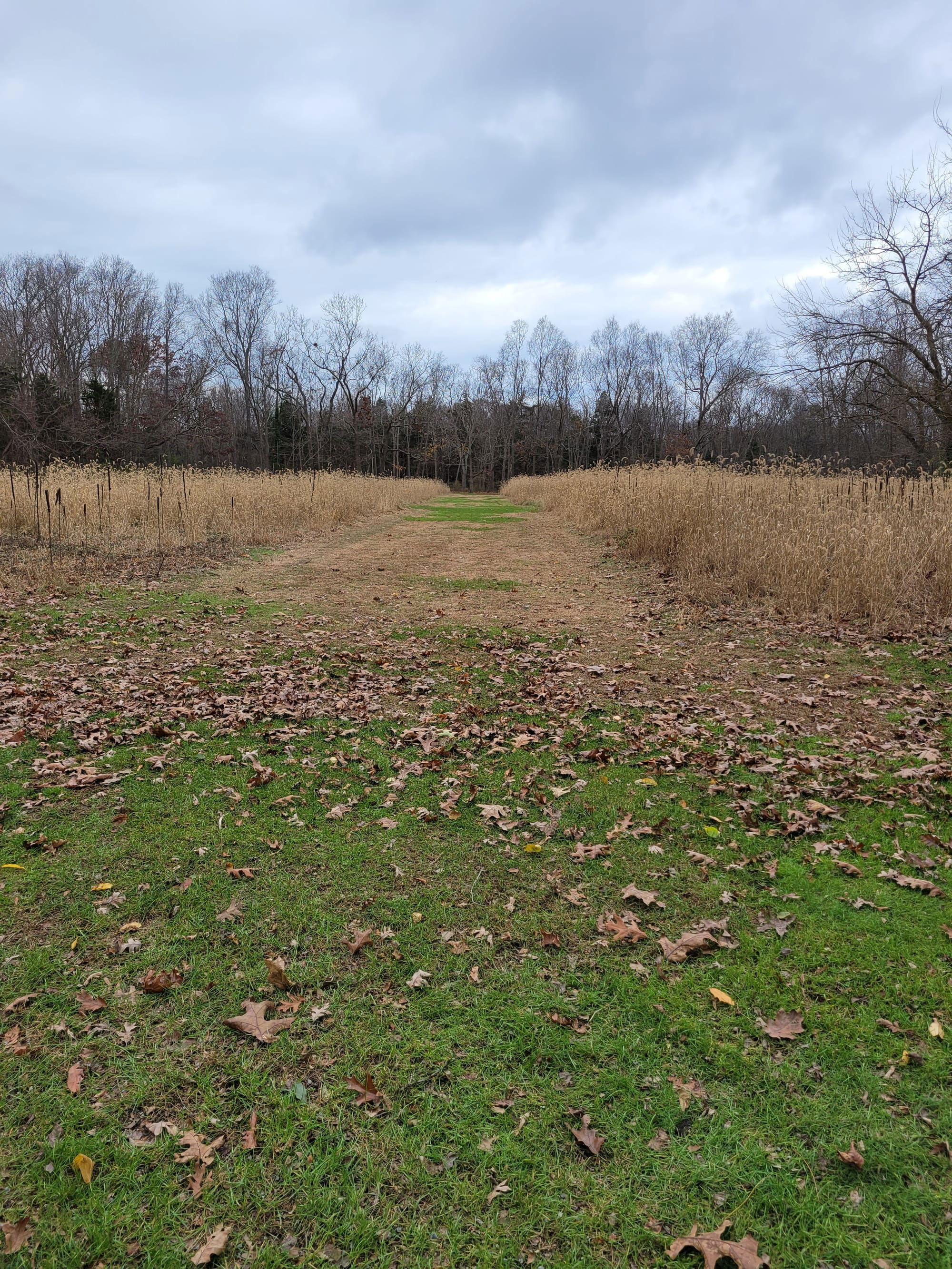 Caleb Smith State Park Preserve Hiking Trails - Smithtown, NY