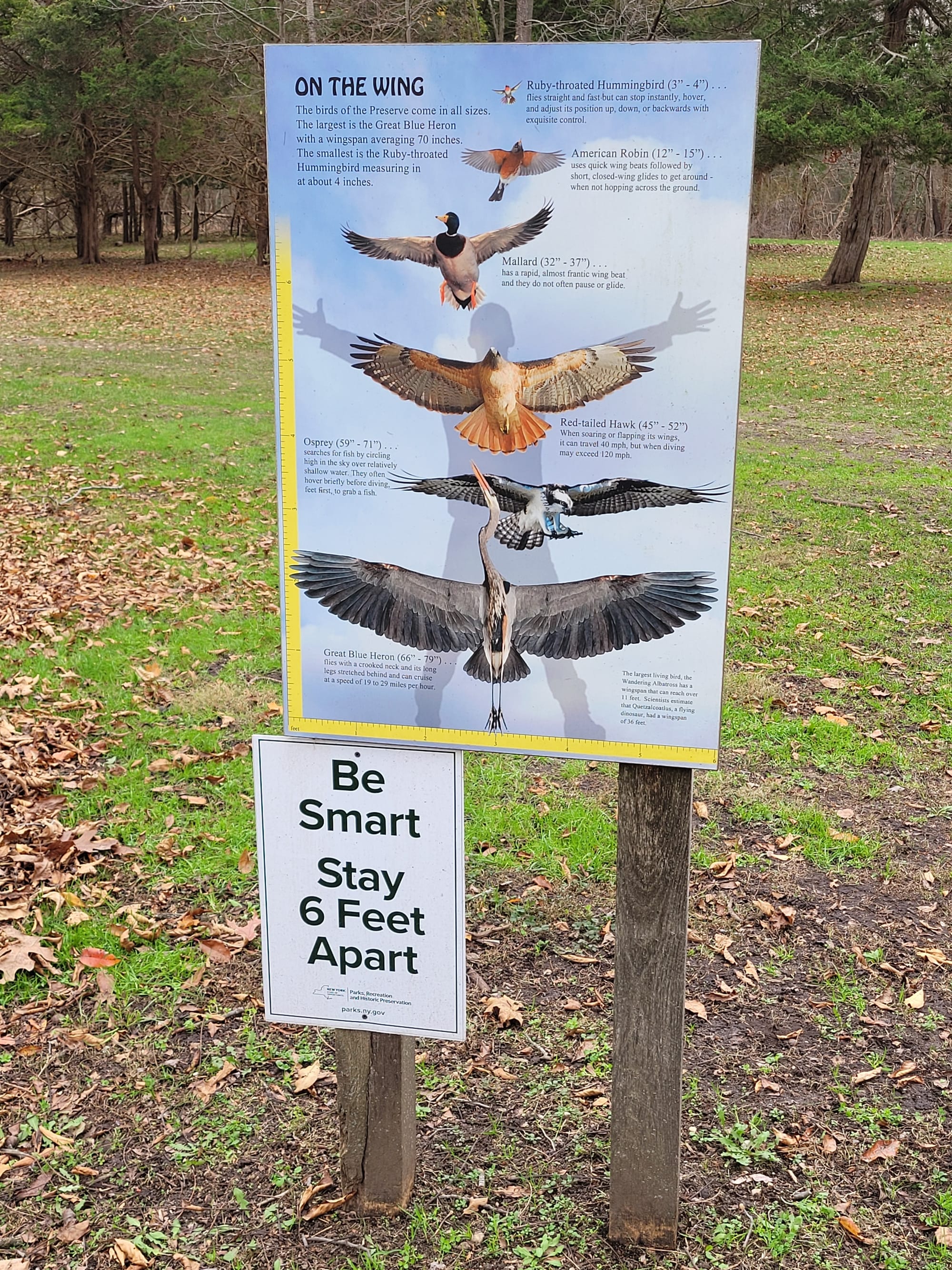 Caleb Smith State Park Preserve Hiking Trails - Smithtown, NY