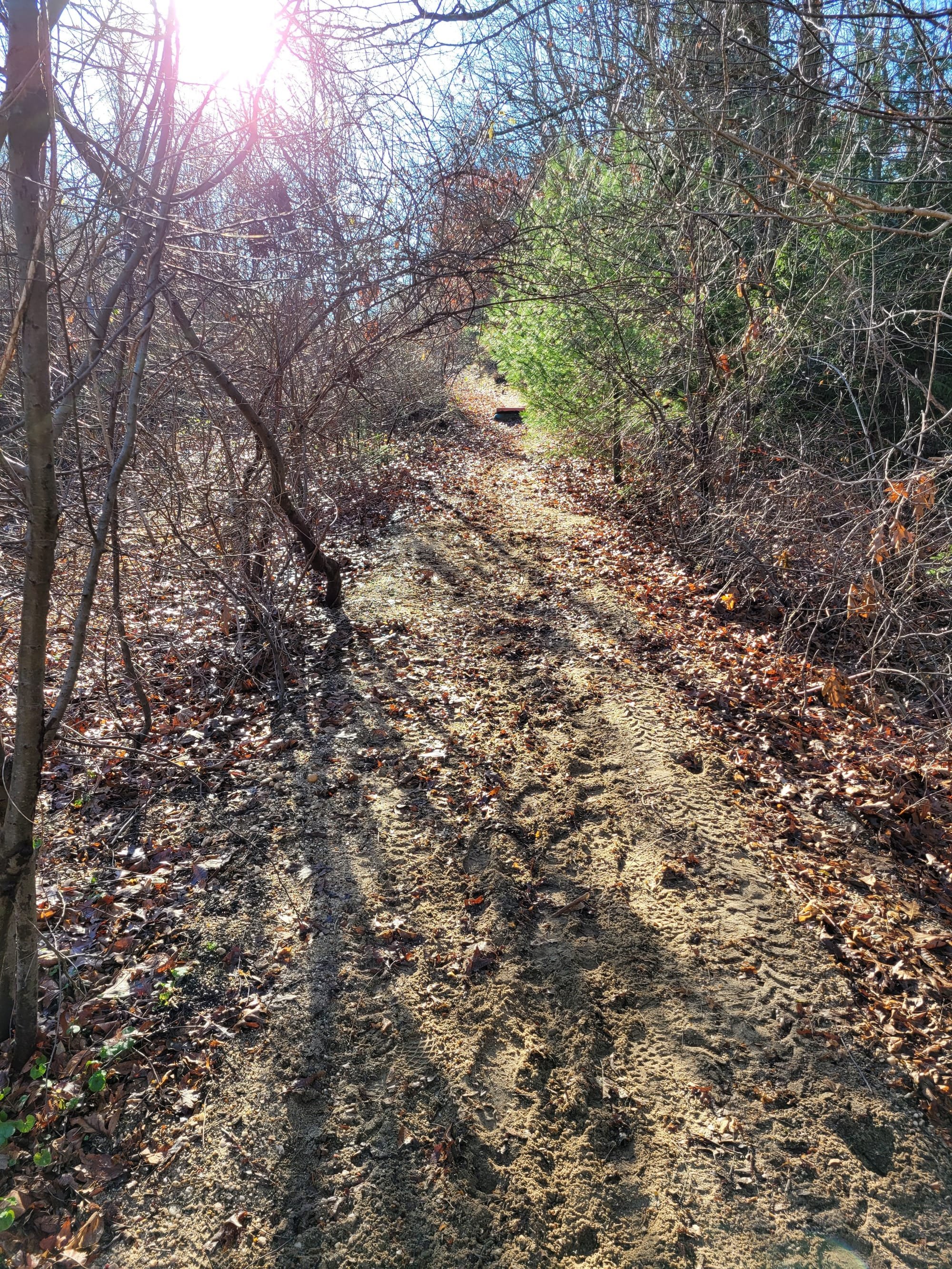 Meadowlark Park Hiking/Biking Trails - Fort Salonga, NY