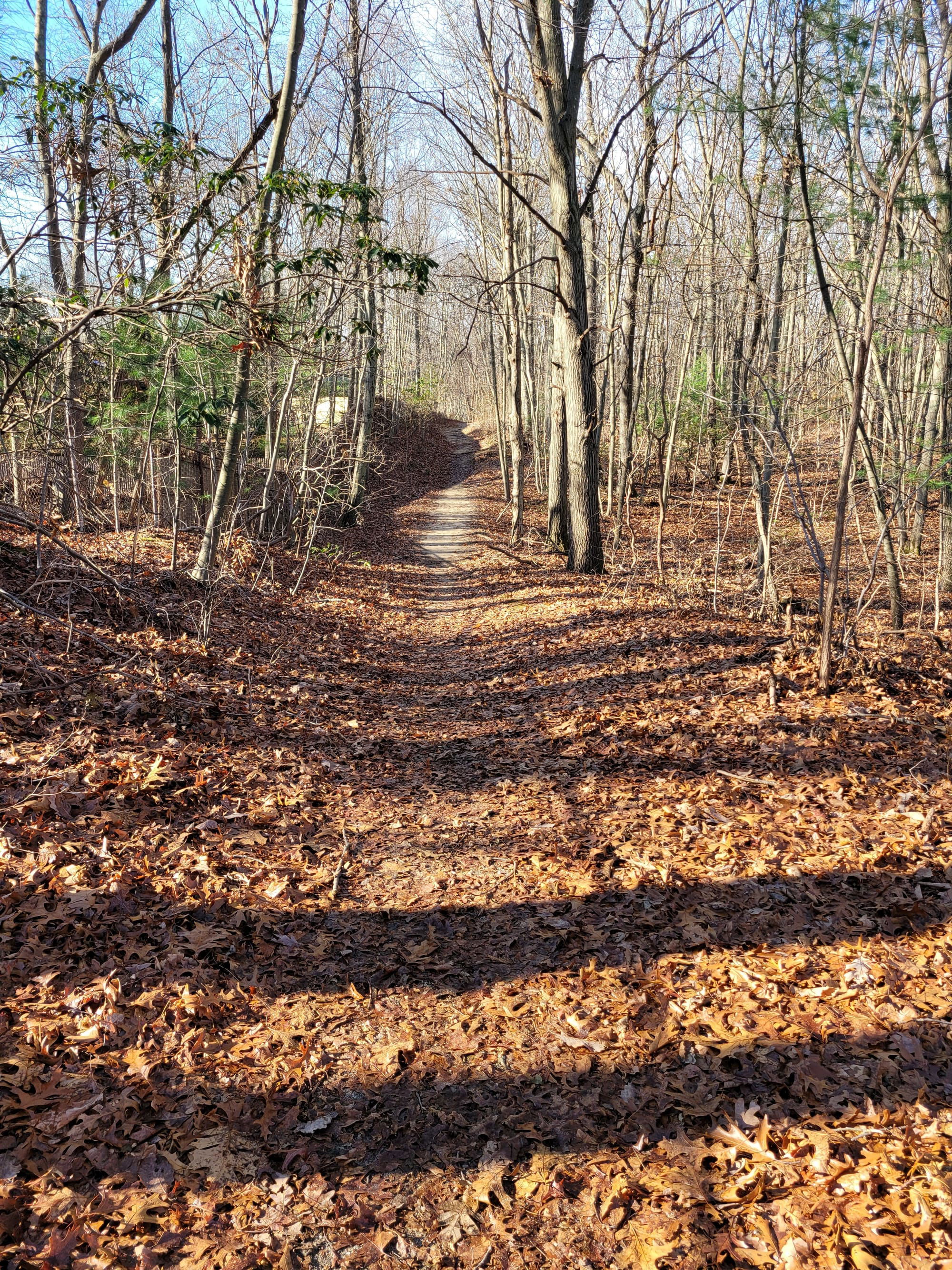 Meadowlark Park Hiking/Biking Trails - Fort Salonga, NY