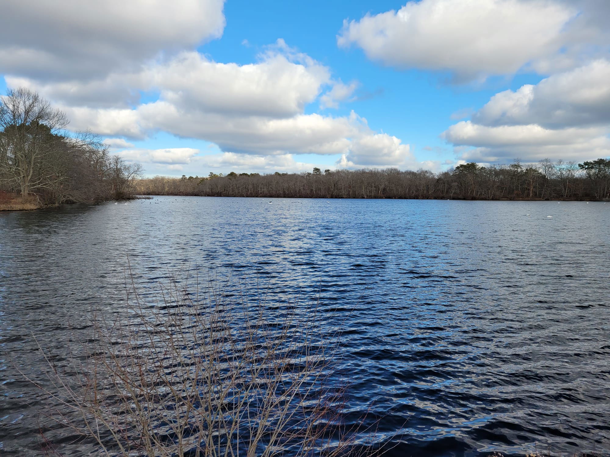 Connetquot River State Park Preserve (Oakdale, NY)