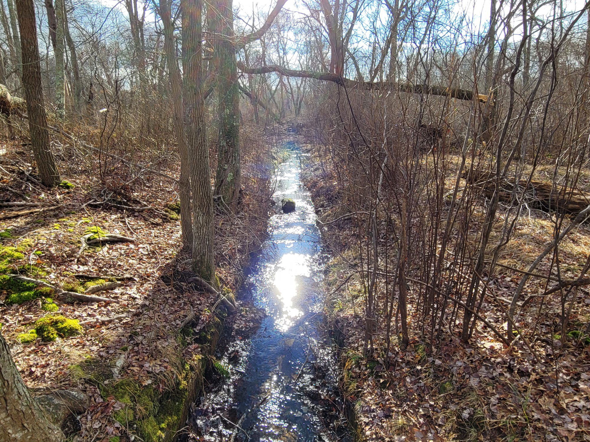 Connetquot River State Park Preserve (Oakdale, NY)